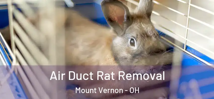  Air Duct Rat Removal Mount Vernon - OH