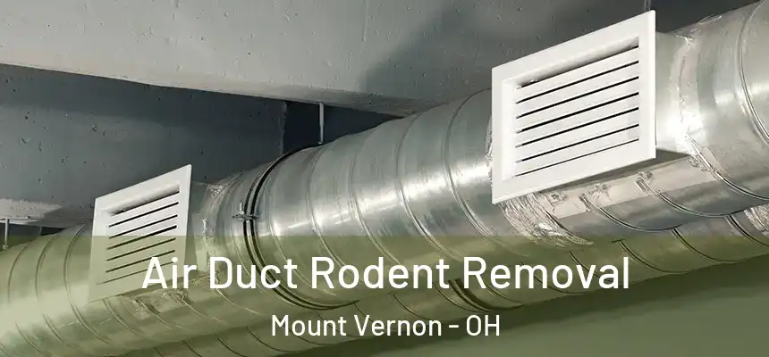  Air Duct Rodent Removal Mount Vernon - OH