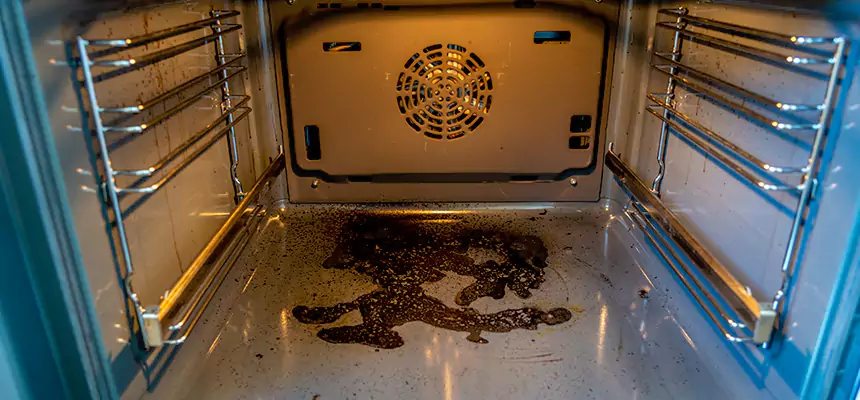 Our Dryer Vent Mold Cleaning Services in Mount Vernon, OH