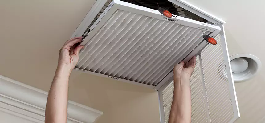 Our Insect Removal from Air Ducts Services in Mount Vernon, OH