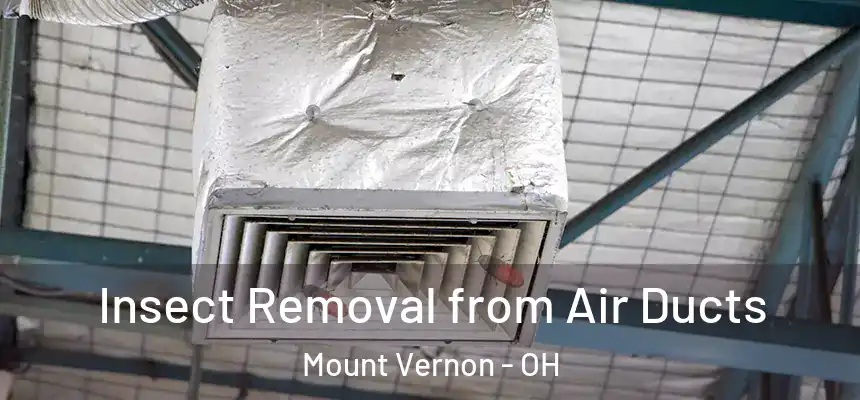  Insect Removal from Air Ducts Mount Vernon - OH