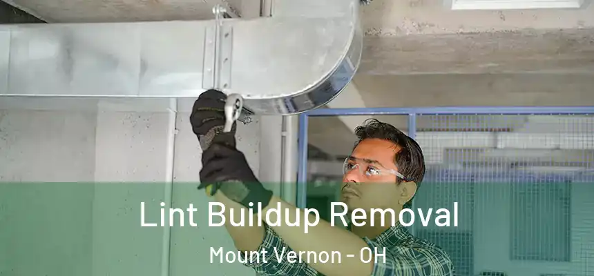  Lint Buildup Removal Mount Vernon - OH