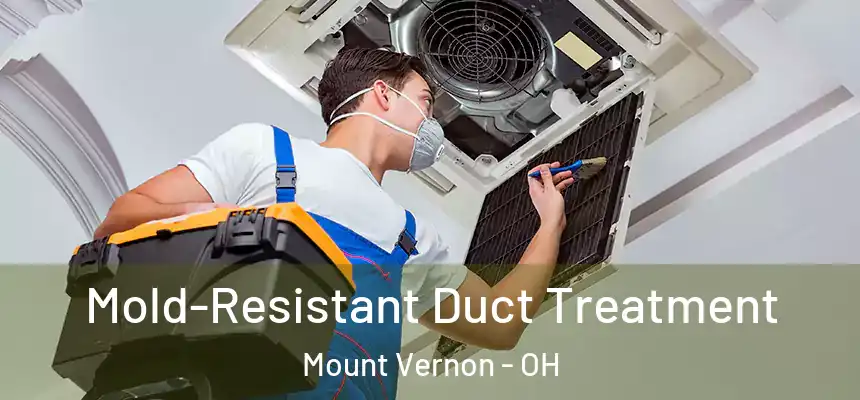  Mold-Resistant Duct Treatment Mount Vernon - OH