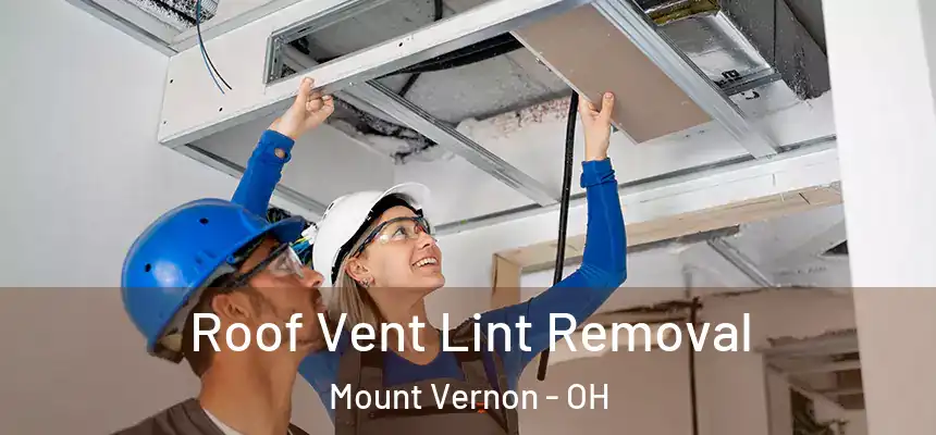  Roof Vent Lint Removal Mount Vernon - OH