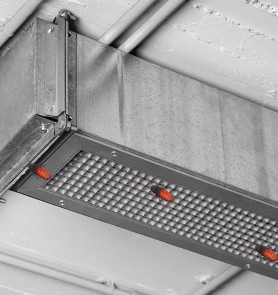 Affordable Insect Removal from Air Ducts in Mount Vernon, OH