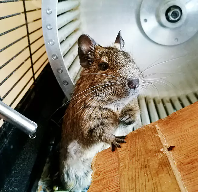 Why Homeowners & Businesses Trust Us Mount Vernon, OH?